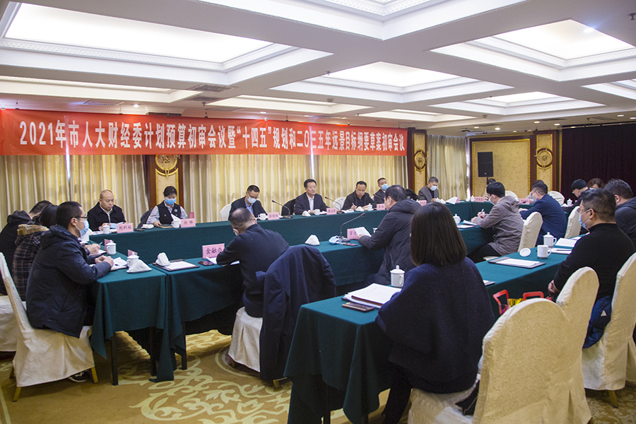 十四五是什么会议 W020210209735019853395.jpg