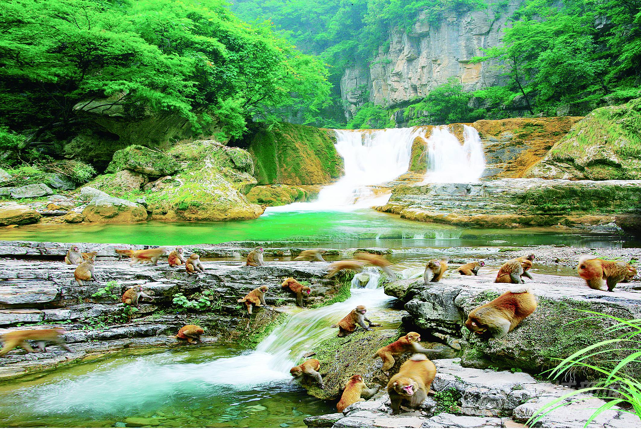 “森林之舞”炫三晋——写在2022（阳城）·首届山西森林旅游节开幕之际 - 晋城市人民政府