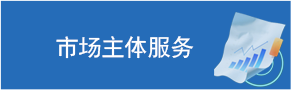市场主体服务