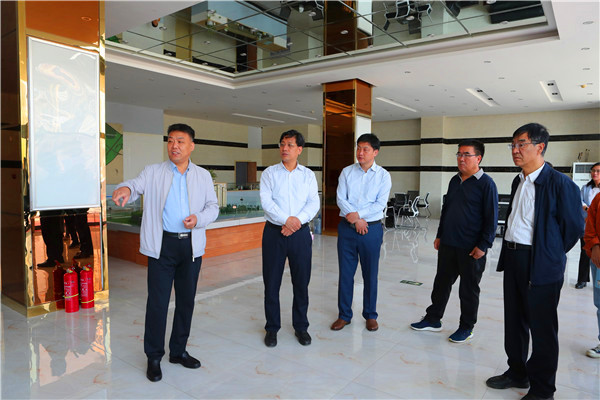 李子荣带队到城区督导调研