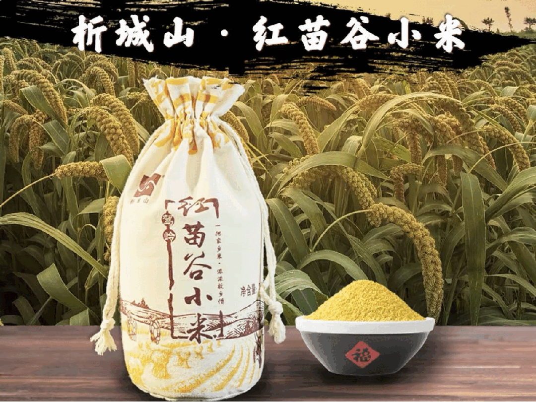 微信图片_2026-09-17_102549_935.jpg