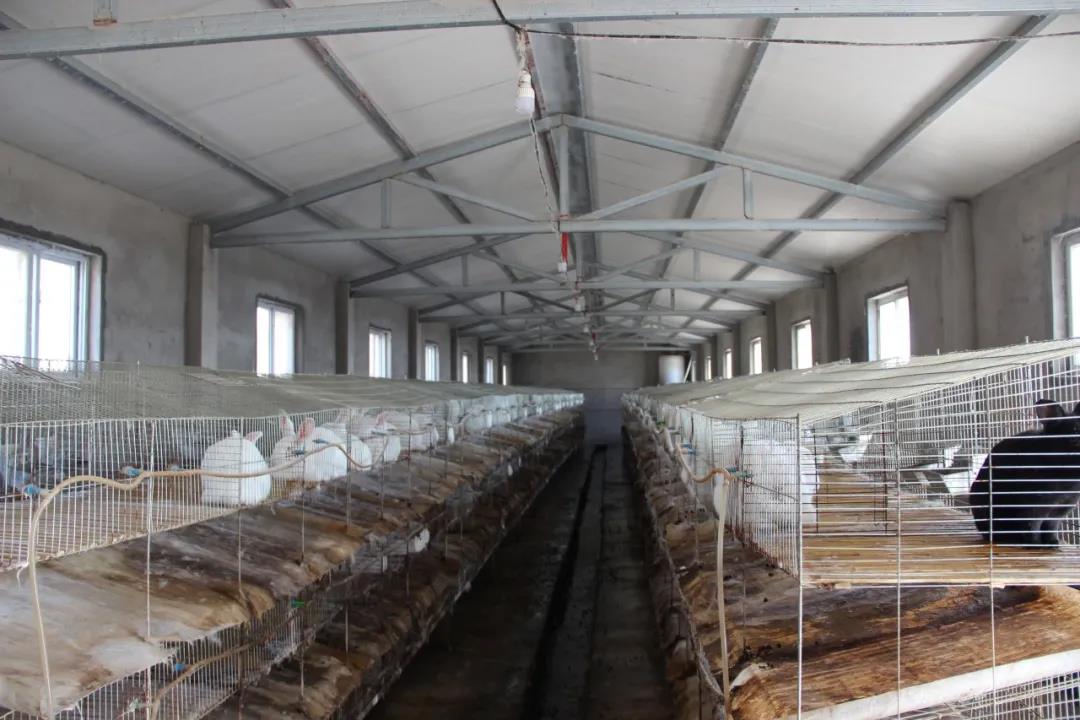 了寺湖农业开发有限公司,种植柳条100余亩,建设了500多平米的柳编厂房