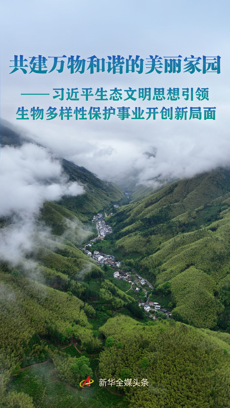 1.jpeg