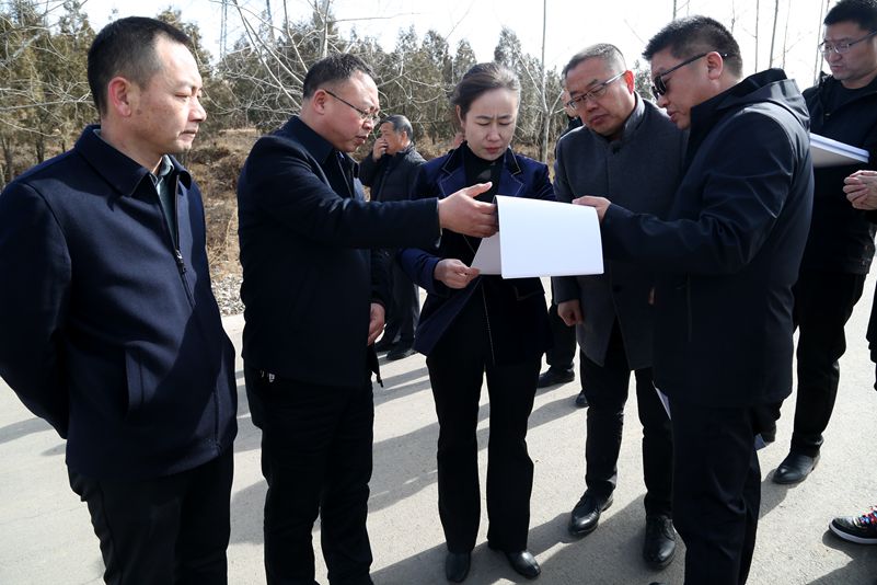 王丽调研城建项目建设情况