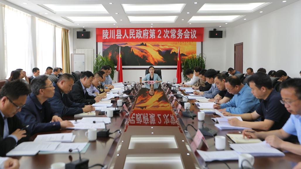 王丽主持召开陵川县政府第2次常务会议