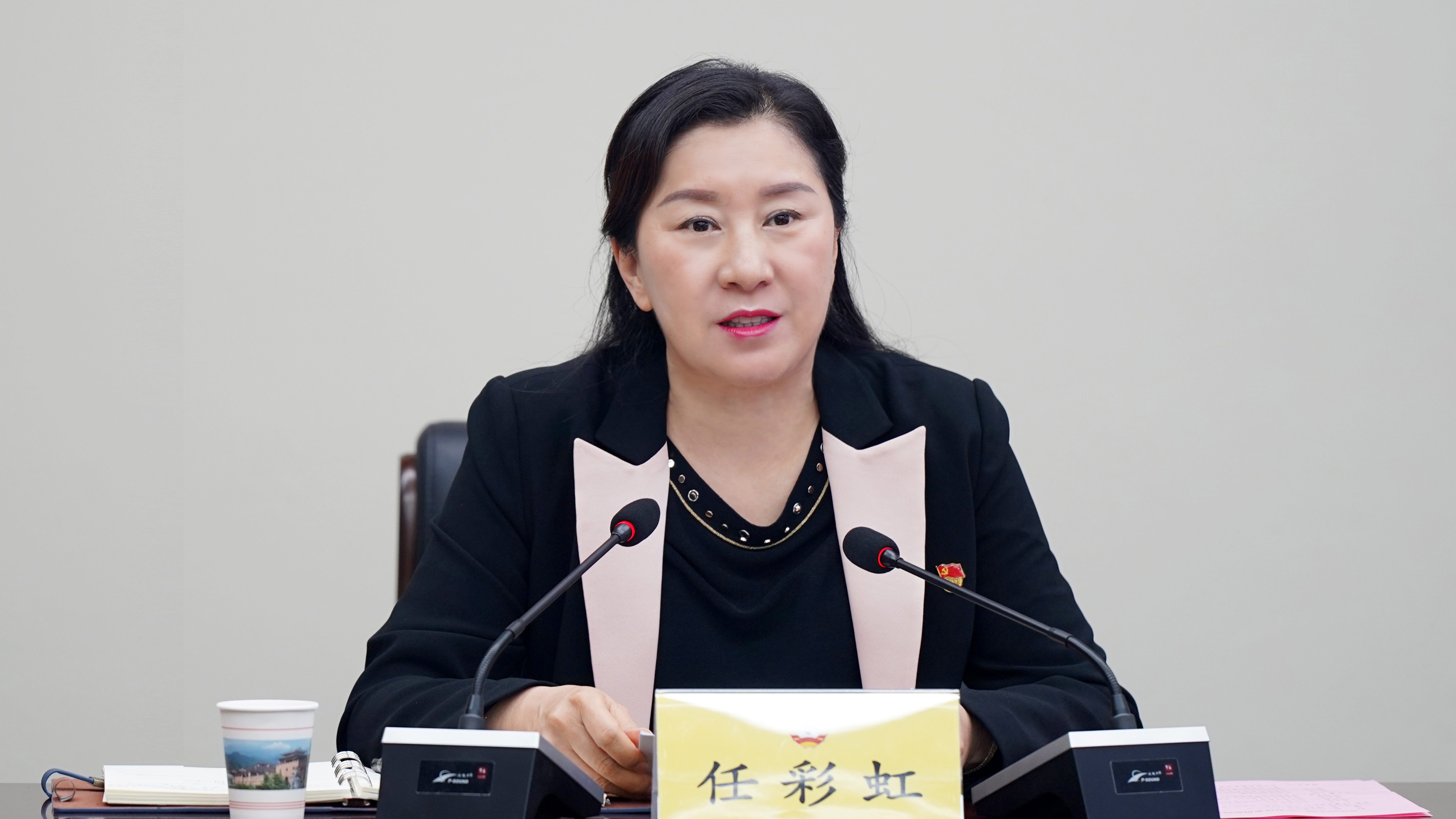 任彩虹参加沁水县政协十届二次会议委员联组讨论