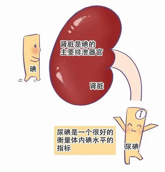 防治碘缺乏病日:“食盐加碘防疾病 平衡营养健康行” - 晋城市人民政府